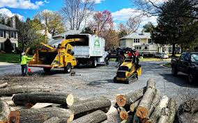 How Our Tree Care Process Works  in  Aubrey, TX